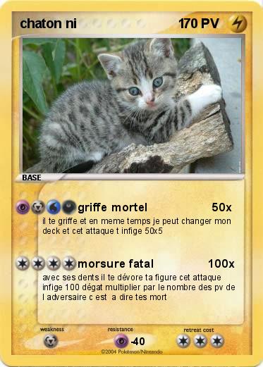 Pokemon chaton ni                            1