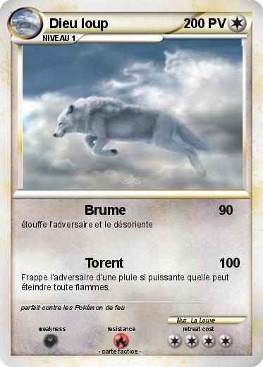 Pokemon Dieu loup
