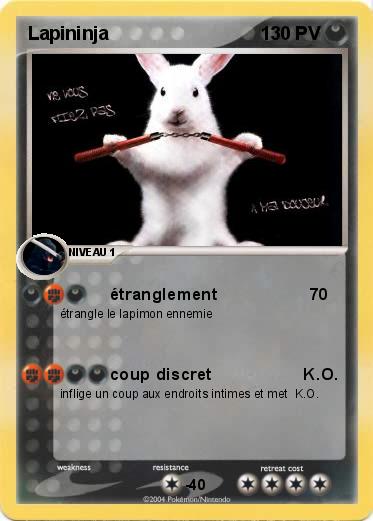 Pokemon Lapininja