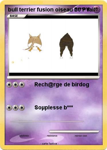 Pokemon bull terrier fusion oiseau b**** fail