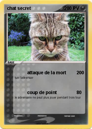 Pokemon chat secret