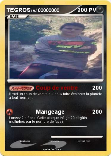 Pokemon TEGROS