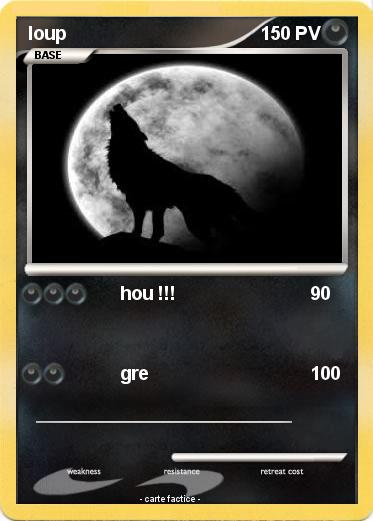 Pokemon loup