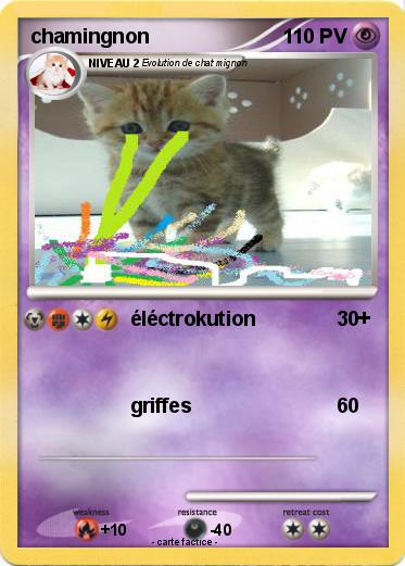 Pokemon chamingnon