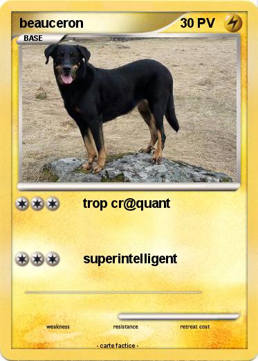 Pokemon beauceron