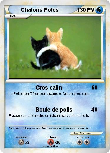 Pokemon Chatons Potes