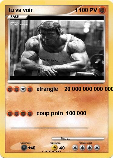 Pokemon tu va voir                           1