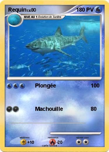 Pokemon Requin