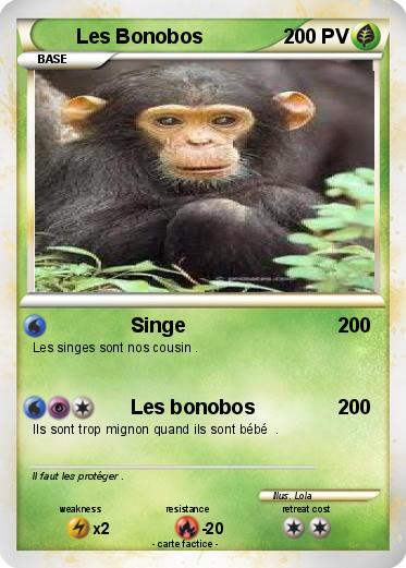 Pokemon Les Bonobos