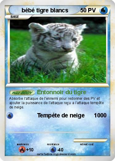 Pokemon bébé tigre blancs