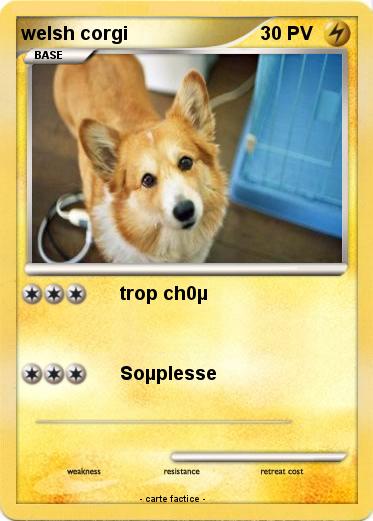 Pokemon welsh corgi