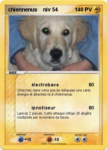 Pokemon chiennenus    niv 54