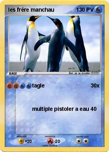 Pokemon les frére manchau