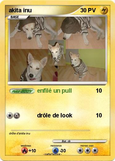 Pokemon akita inu