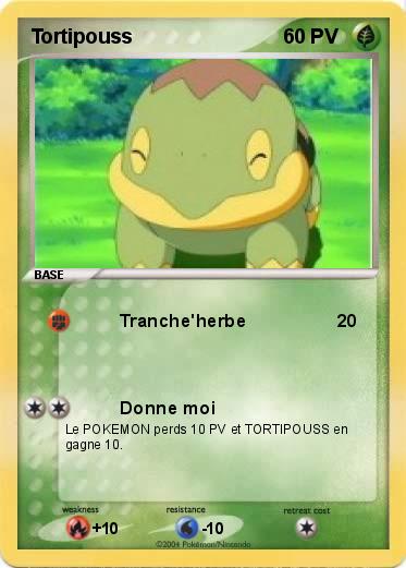 Pokemon Tortipouss