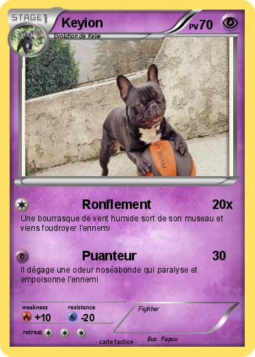 Pokemon Keyion