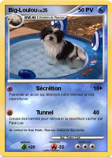 Pokemon Big-Loulou
