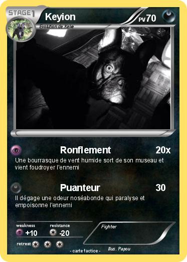 Pokemon Keyion