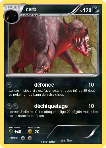 Pokemon cerb