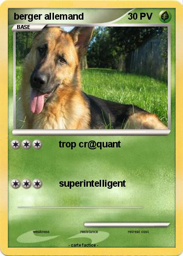 Pokemon berger allemand