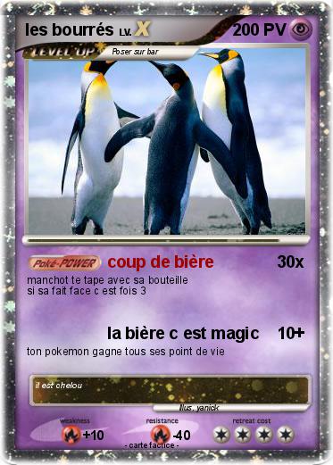 Pokemon les bourrés