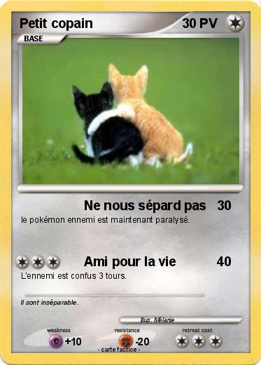 Pokemon Petit copain