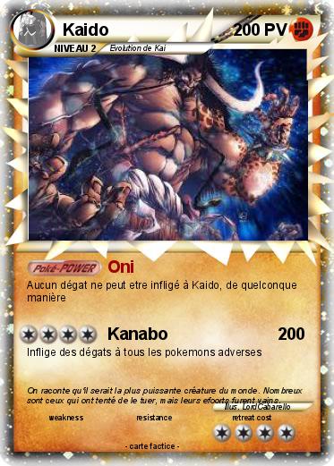 Pokemon Kaido