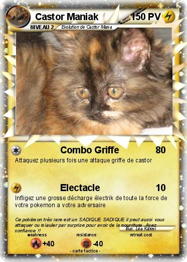 Pokemon Castor Maniak