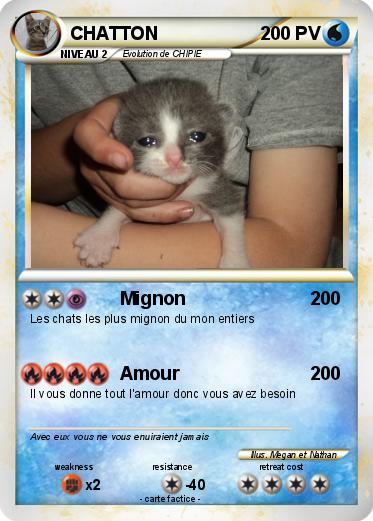 Pokemon CHATTON