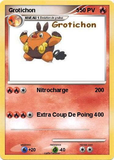 Pokemon Grotichon                          5