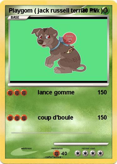 Pokemon Playgom ( jack russell terrier mix )