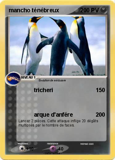 Pokemon mancho ténébreux