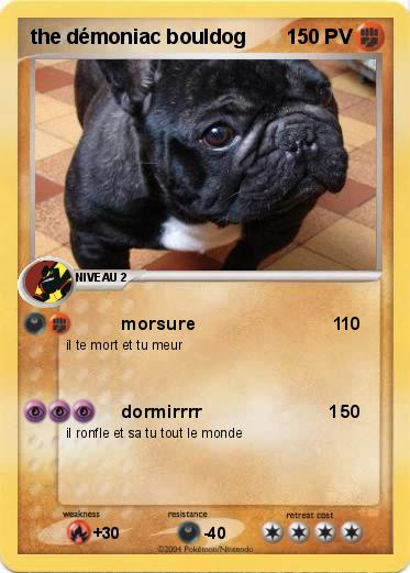 Pokemon the démoniac bouldog