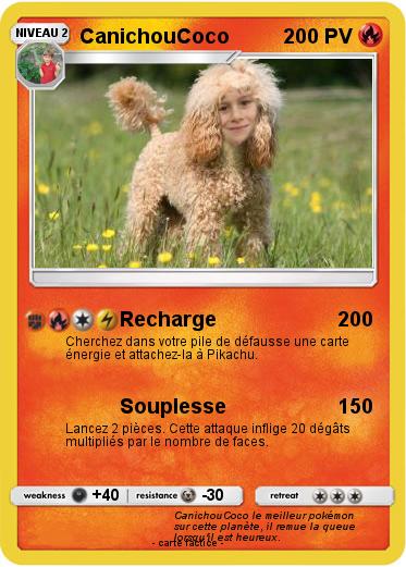 Pokemon CanichouCoco