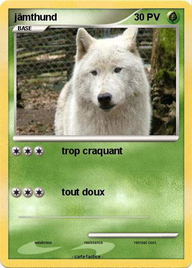 Pokemon jâmthund