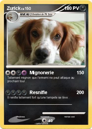 Pokemon Zurick