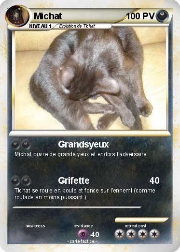 Pokemon Michat
