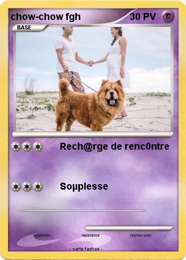 Pokemon chow-chow fgh