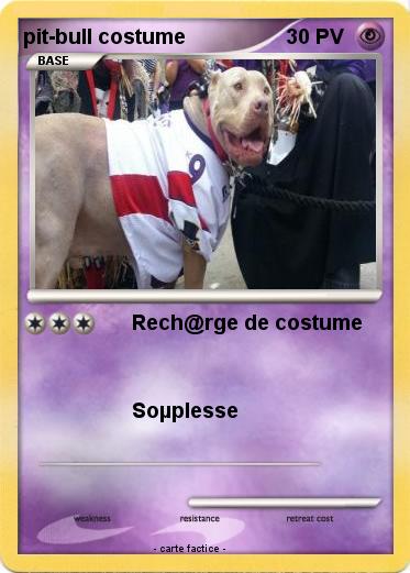 Pokemon pit-bull costume