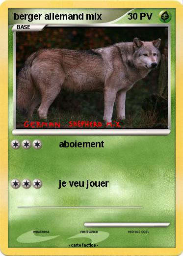 Pokemon berger allemand mix