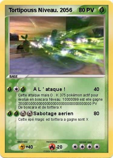 Pokemon Tortipouss Niveau. 2056