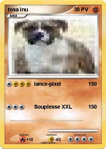 Pokemon tosa inu