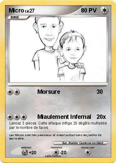 Pokemon Micro