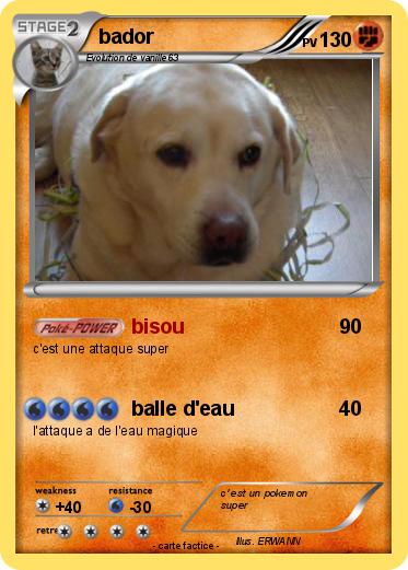 Pokemon bador