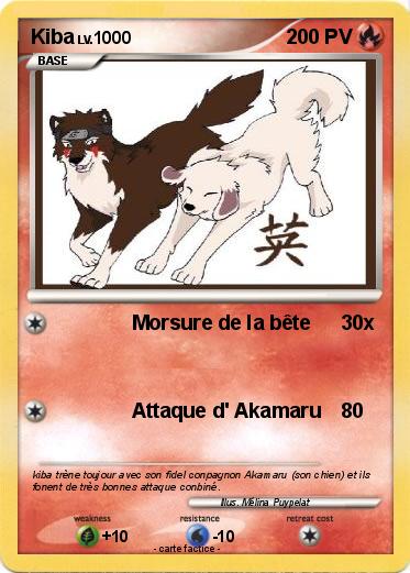 Pokemon Kiba