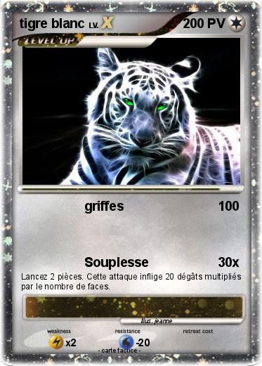 Pokemon tigre blanc