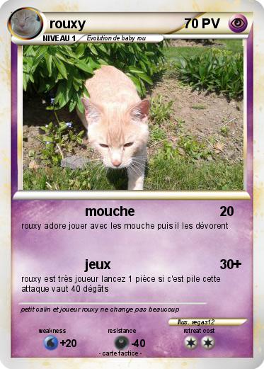 Pokemon rouxy