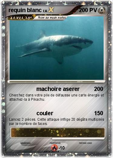 Pokemon requin blanc