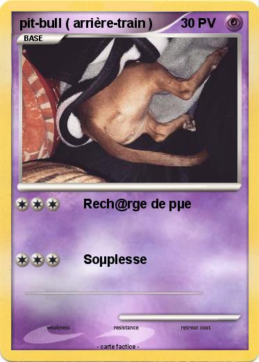 Pokemon pit-bull ( arrière-train )