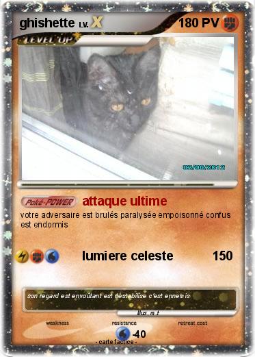 Pokemon ghishette